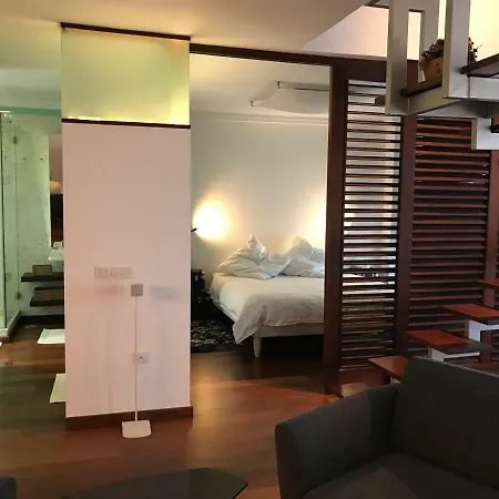 Elegante Loft En Centro De La Ciudad. Appartement